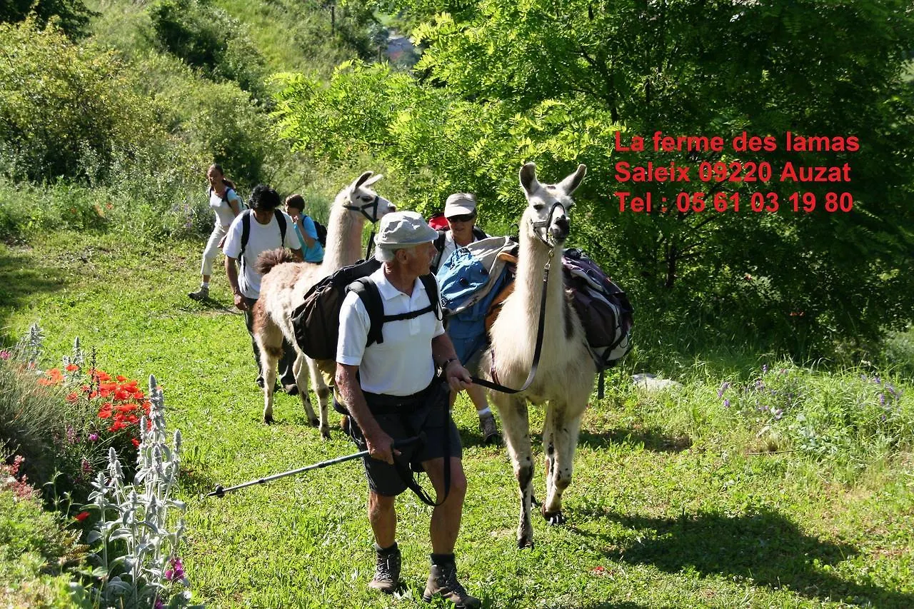 Chambres D'Hotes La Pommeraie Тараскон-сюр-Арьеж 0*,